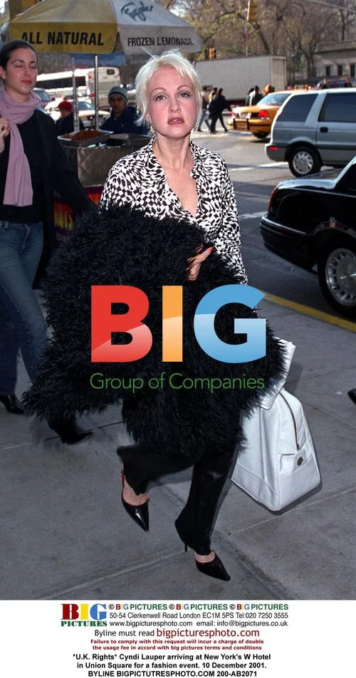 Cyndi Lauper at New York Fashion Event