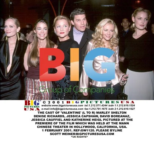 Cast of 'Valentine' at Premiere