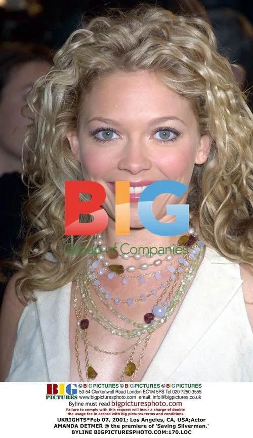 Amanda Detmer at 'Saving Silverman' Premiere