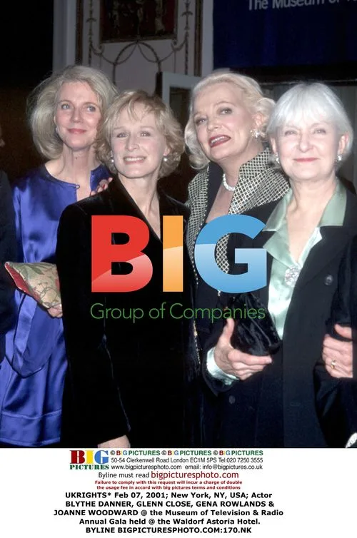 Actors at Museum Gala in NYC