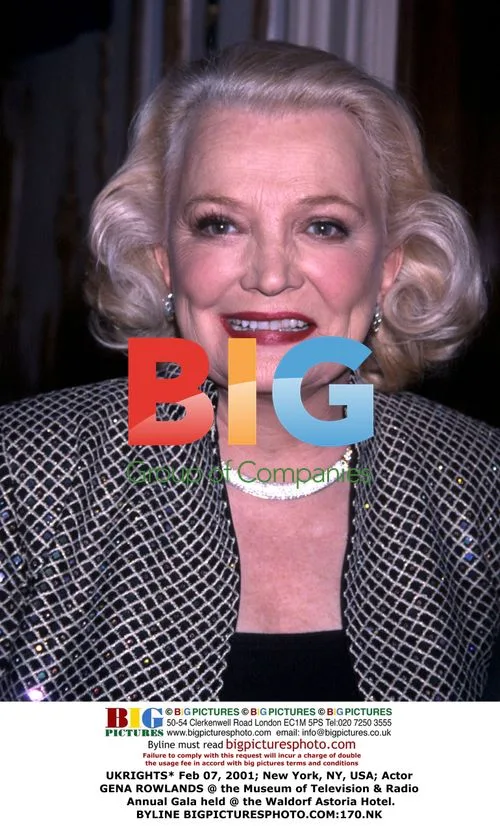 Gena Rowlands at Museum of Television & Radio Gala