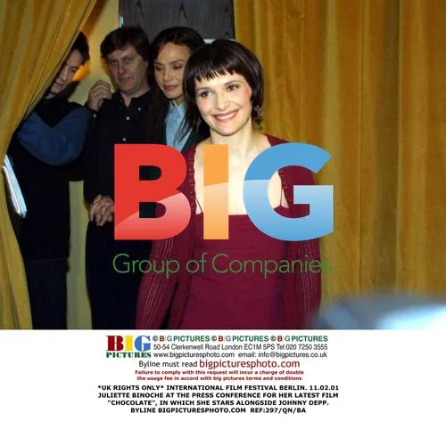Juliette Binoche at 'Chocolate' press conference