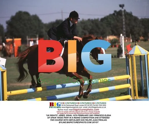 Princess Elena of Spain Riding Competition