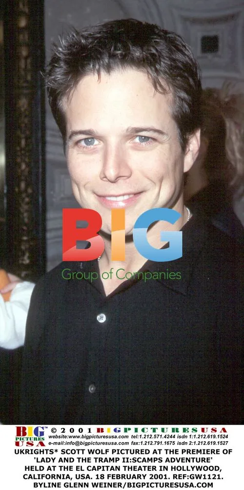 Scott Wolf at 'Lady and the Tramp II' Premiere