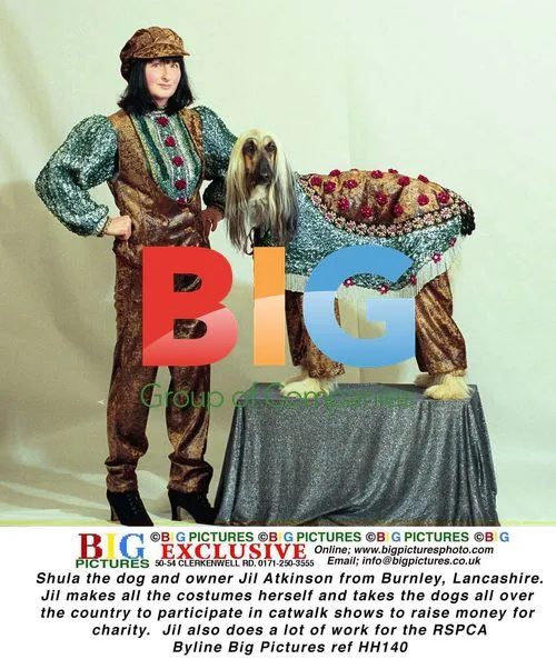 Dog fashion show raises charity funds