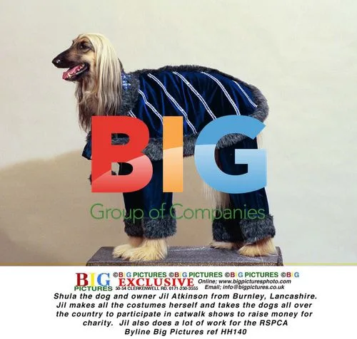 Shula the Afghan dog and owner Jil Atkinson