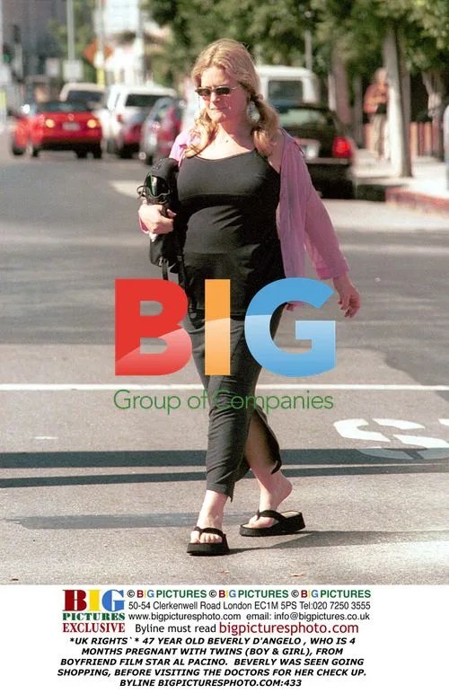 Beverly D'Angelo Pregnant with Twins