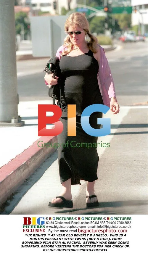 Beverly D'Angelo Pregnant with Twins