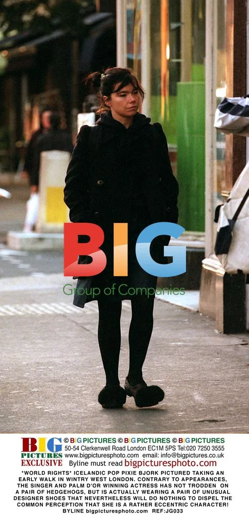 Bjork Takes Early London Walk