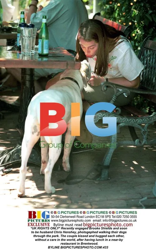 Brooke Shields and Chris Henshey walk dogs