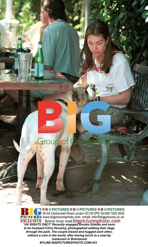Brooke Shields and Chris Henshey walk dogs
