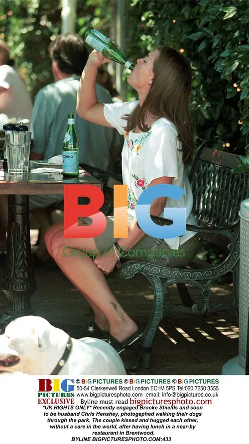 Brooke Shields and Chris Henshey photographed walking dogs