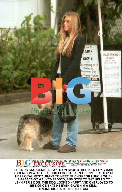 Jennifer Aniston Meets Friends for Lunch with Dog