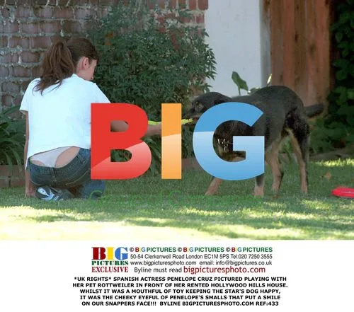 Penelope Cruz plays with pet Rottweiler