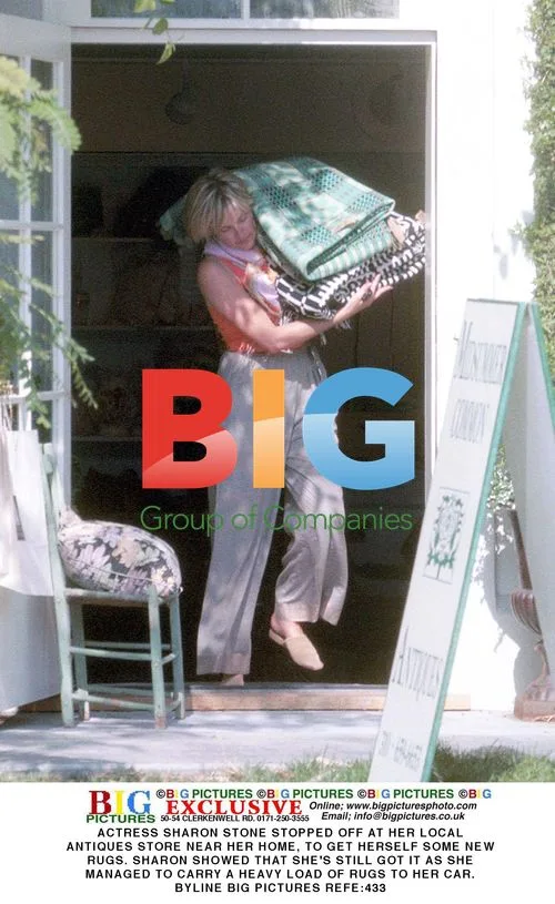 Sharon Stone shops for rugs