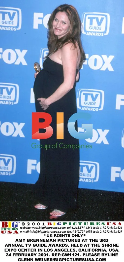 Amy Brenneman at TV Guide Awards