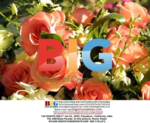 2001 Rose Parade Flower Floats