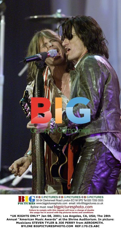 STEVEN TYLER & JOE PERRY of AEROSMITH at American Music Awards
