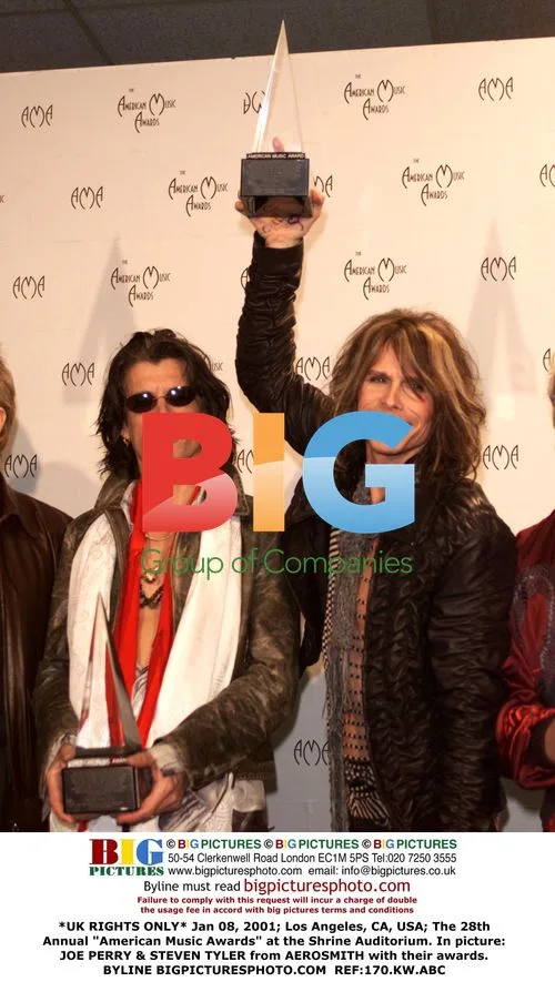 Aerosmith members at American Music Awards