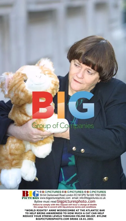 Anne Widdecombe Promotes Cat Stress Relief