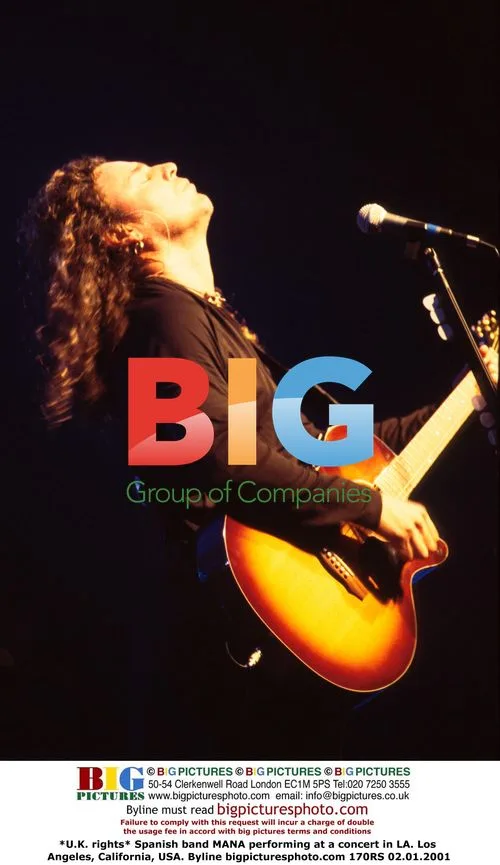 MANA Performs at LA Concert
