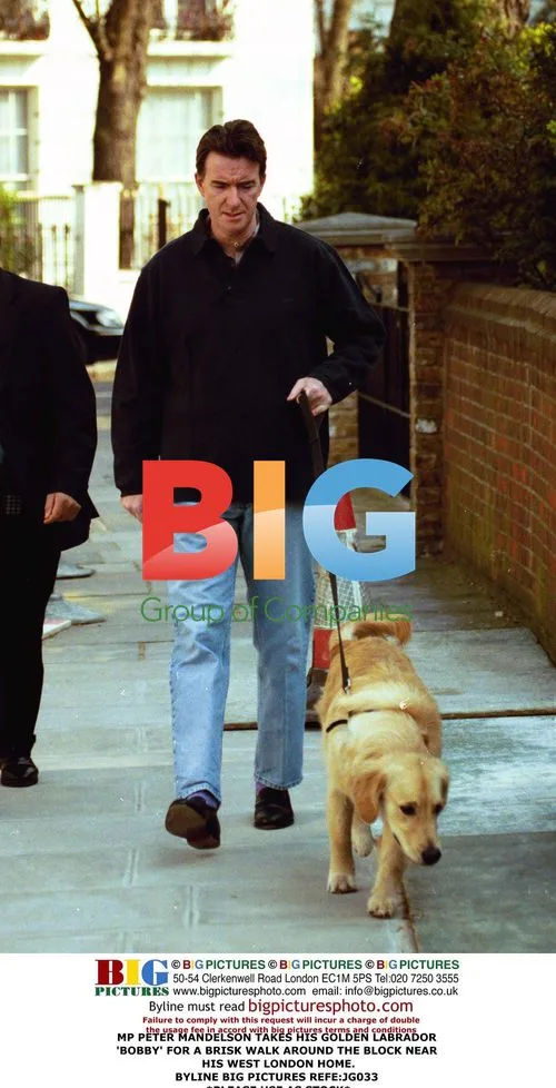 MP Peter Mandelson takes dog for walk