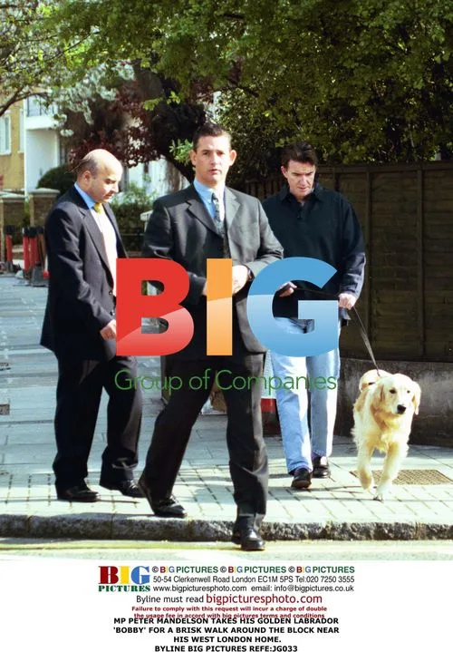 MP Peter Mandelson takes dog for walk