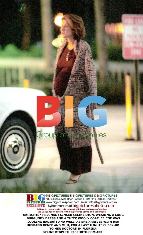 Celine Dion Arrives for Check-Up