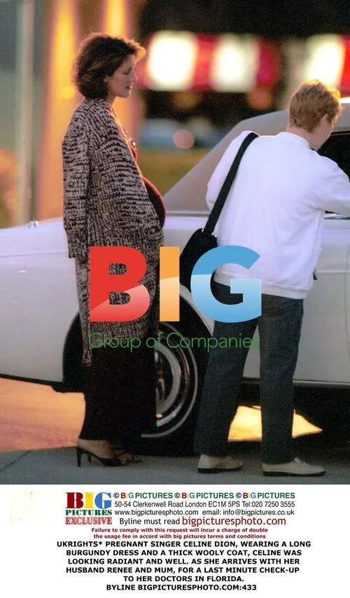 Pregnant Celine Dion at Doctor Checkup