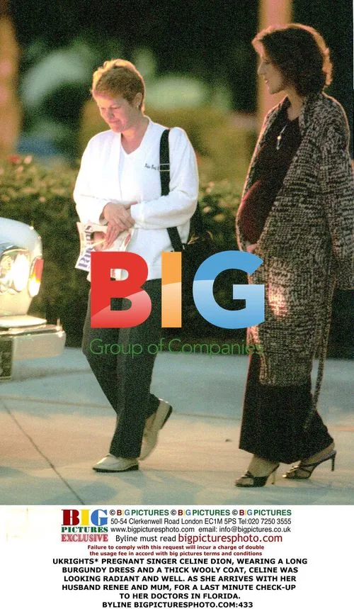 Pregnant Celine Dion Arrives for Checkup