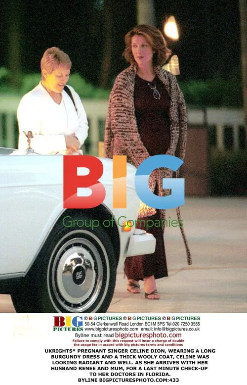 Pregnant Celine Dion Arrives for Doctor Visit