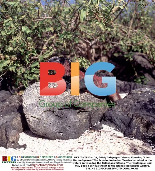 Galapagos Islands Oil Spill