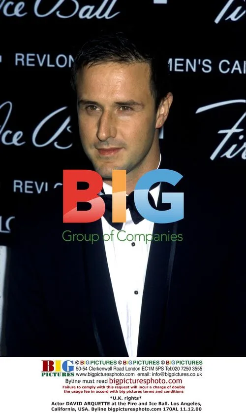 David Arquette at Fire and Ice Ball