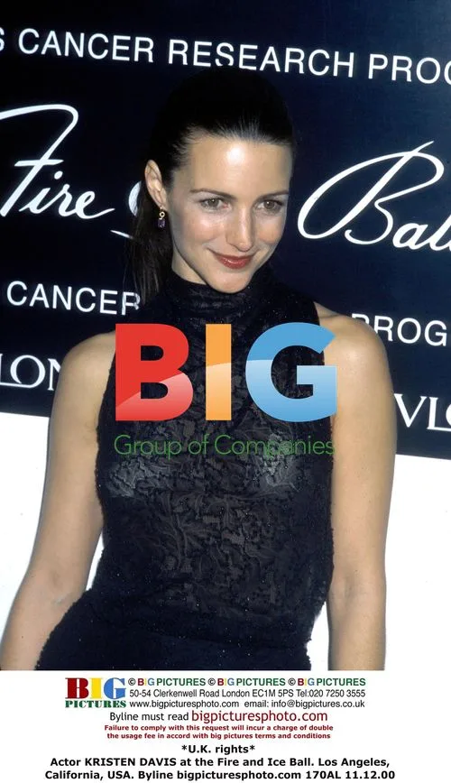 KRISTEN DAVIS at Fire and Ice Ball