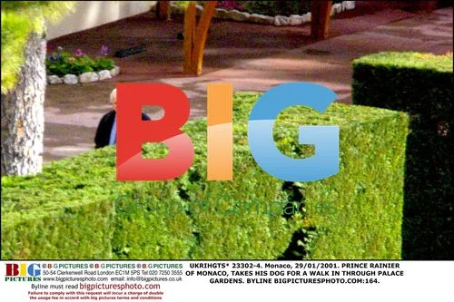 Prince Rainier of Monaco walks dog in palace gardens