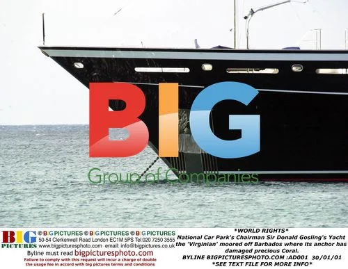 Chairman Sir Donald Gosling's Yacht Damages Coral in Barbados