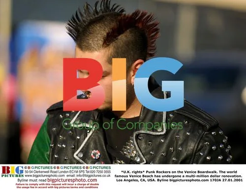 Punk Rockers on Venice Boardwalk