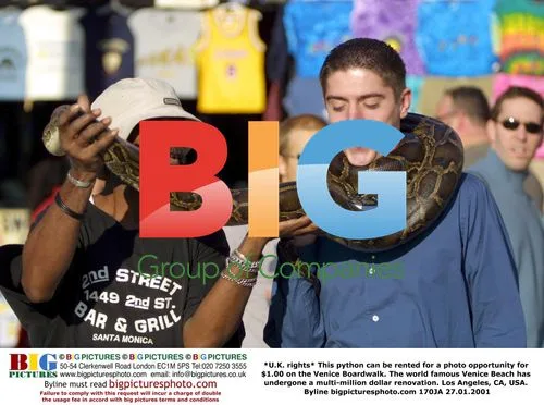 Python for photo op on Venice Boardwalk