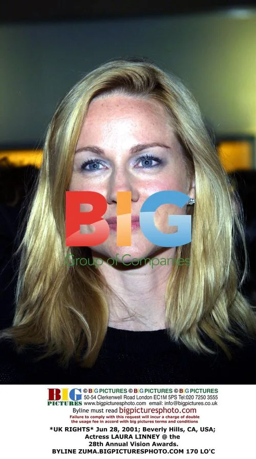 Laura Linney at 28th Annual Vision Awards