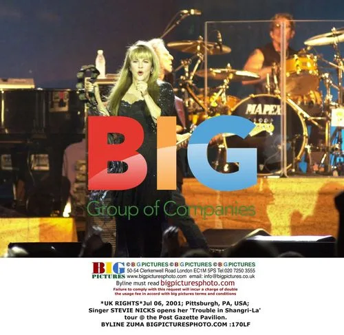 Stevie Nicks Kicks Off 'Trouble in Shangri-La' Tour