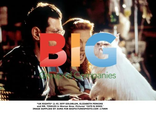 Jeff Goldblum, Elizabeth Perkins in 'CATS & DOGS'
