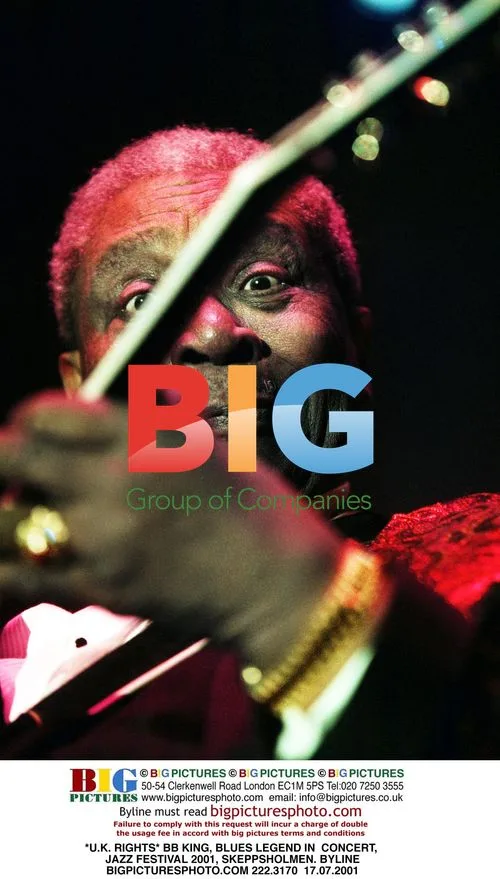 BB King, Blues Legend, Performs at Jazz Festival