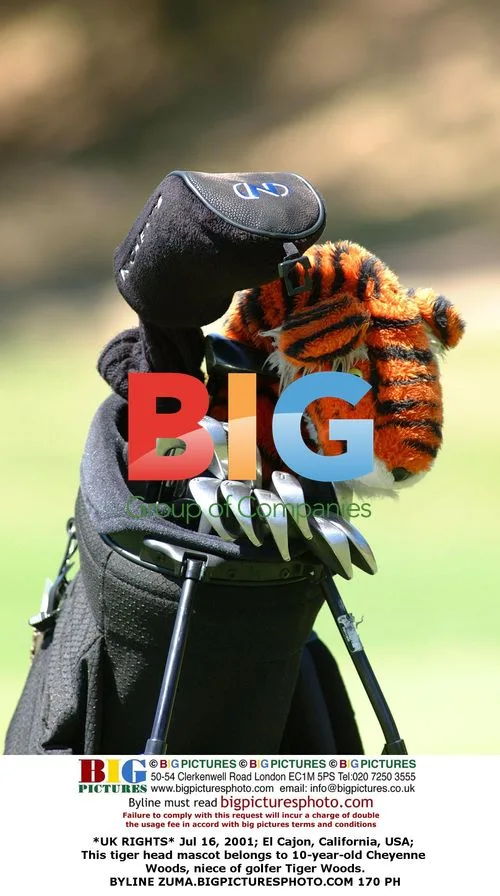 Tiger Woods' Niece with Tiger Mascot