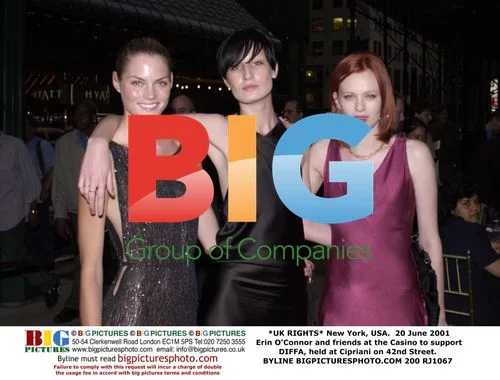 Erin O'Connor and friends at DIFFA event
