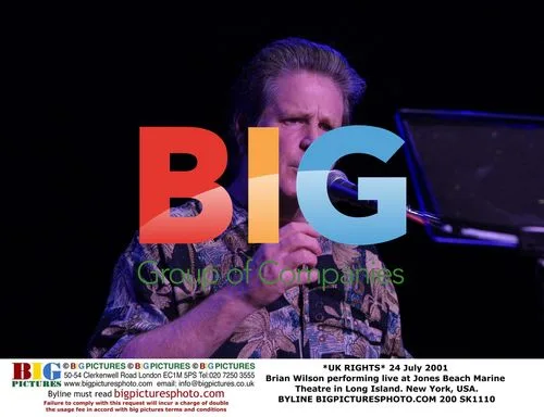 Brian Wilson Performs Live at Jones Beach