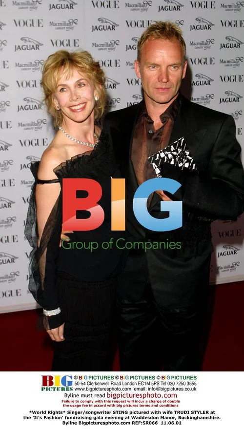STING and TRUDI STYLER at 'It's Fashion' gala