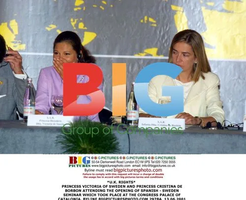 Princess Victoria of Sweden and Princess Cristina at Spanish-Sweden Seminar