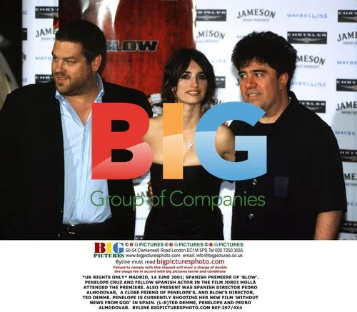 Penelope Cruz at 'Blow' Madrid Premiere