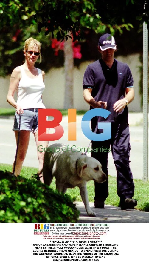 Antonio Banderas and Melanie Griffith out with dogs