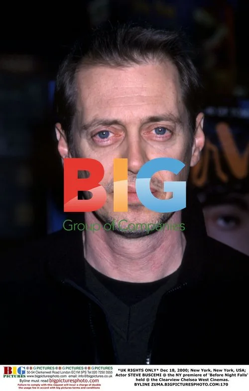 Steve Buscemi at 'Before Night Falls' NY Premiere